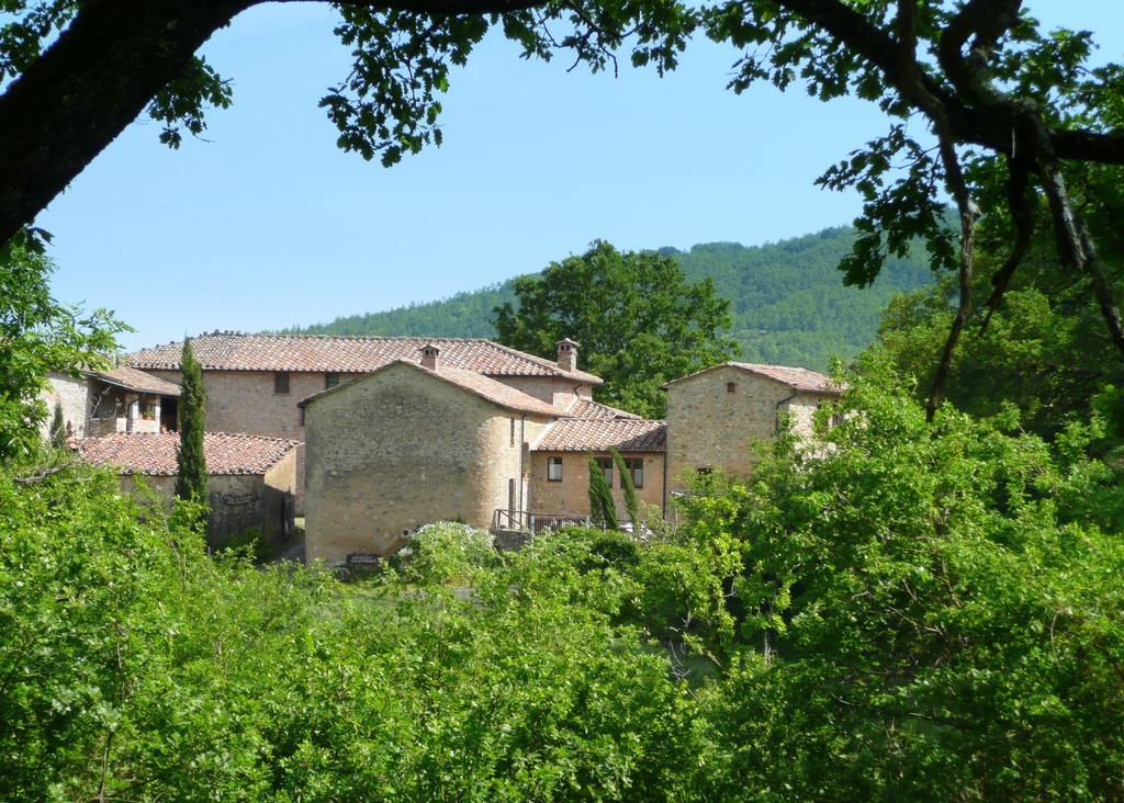 Montieri Agriturismo Colli Di Travale חדר תמונה